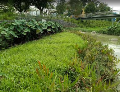 Bioengineering Photo 11