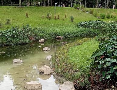Bioengineering Photo 10