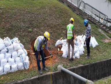 Slope Stabilization 4