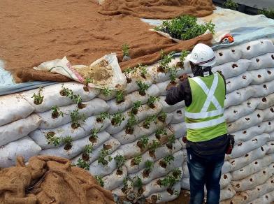Slope Stabilization 9