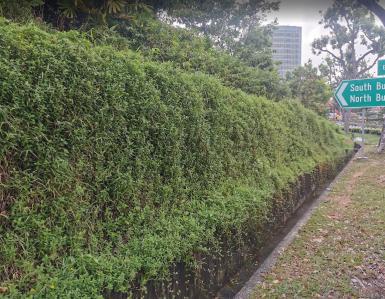 Slope Stabilization 12