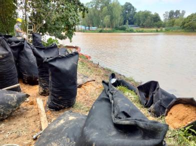 Shoreline Protection 2