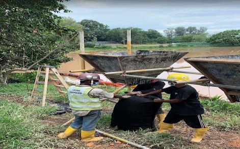 Shoreline Protection Works