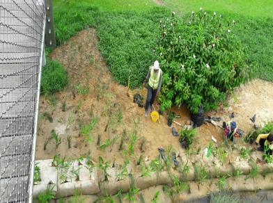Reclamation Protection 9
