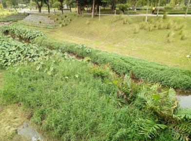 Reclamation Protection 11