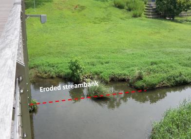Reclamation & Protection Works