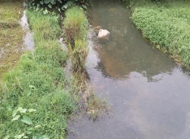 Reclamation Protection 2